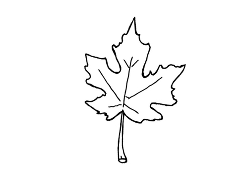 feuille d'automne