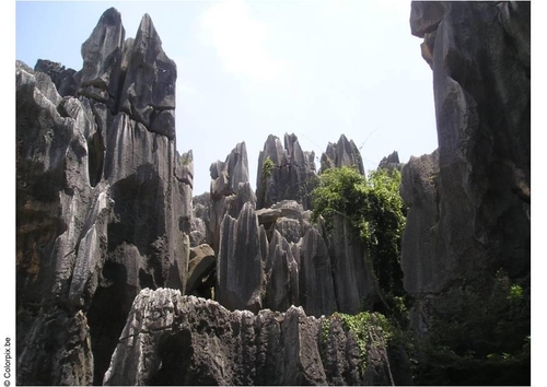fôret de pierre à Kunming