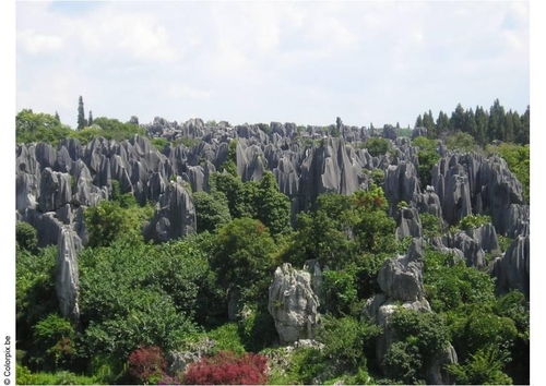 fôret de pierre à Kunming