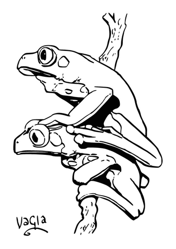 grenouilles