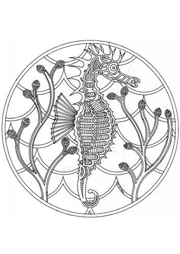 hippocampe