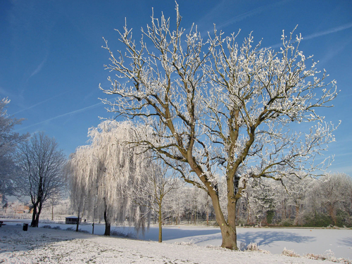 hiver