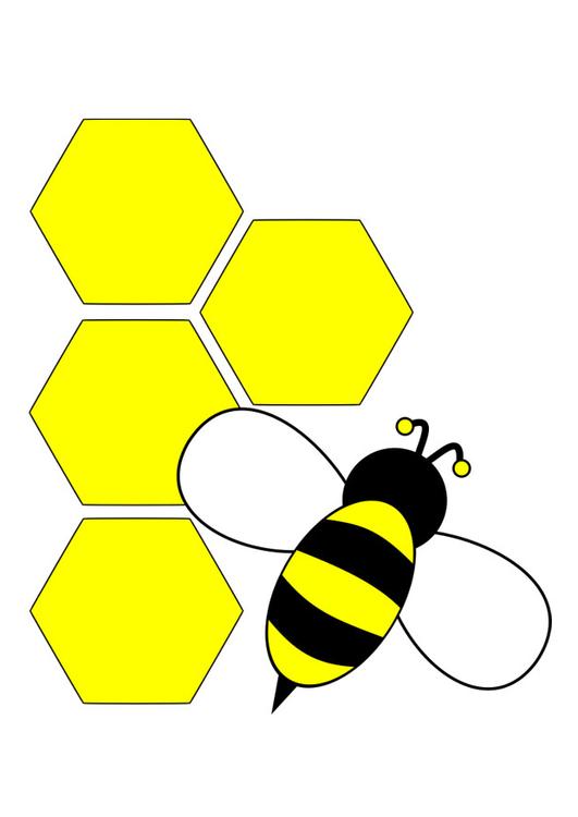 abeille - derriÃ¨re