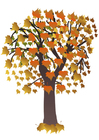 Images arbre en automne
