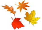 Images feuilles d'automne 