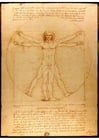 Leonard de Vinci - l'homme de Vitruve