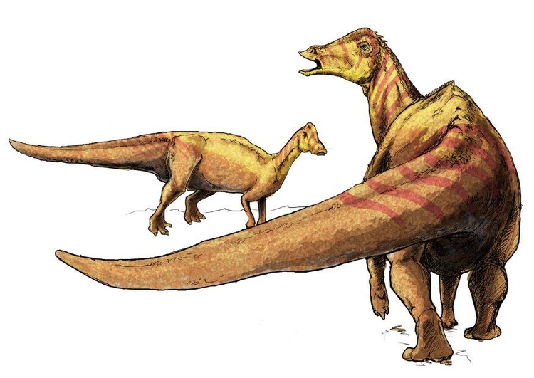 Image nipponosaurus