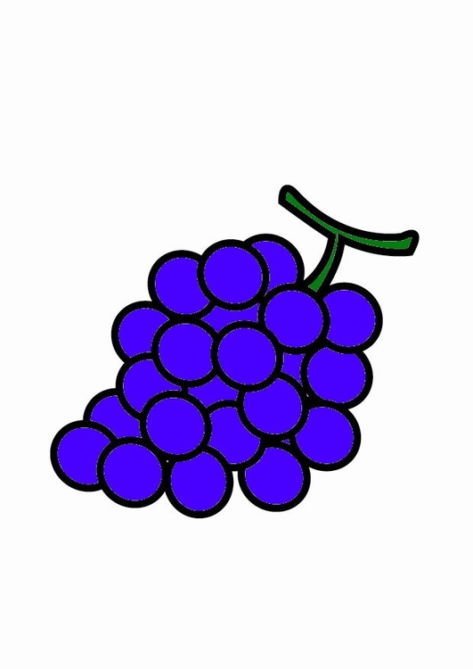 Image Raisins Dessin 23209