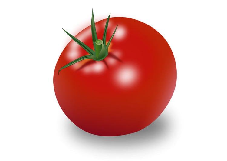 Image tomate