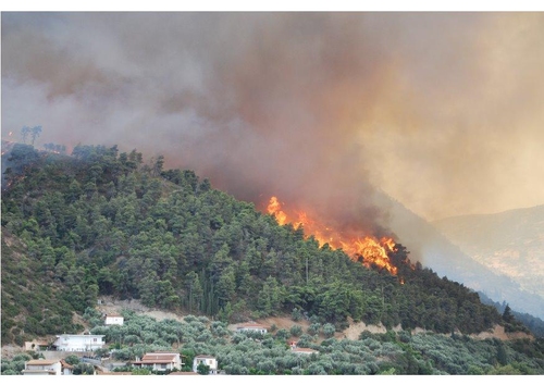 incendie de forêt