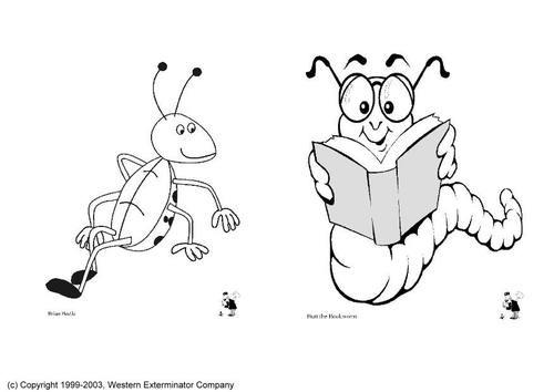 insectes