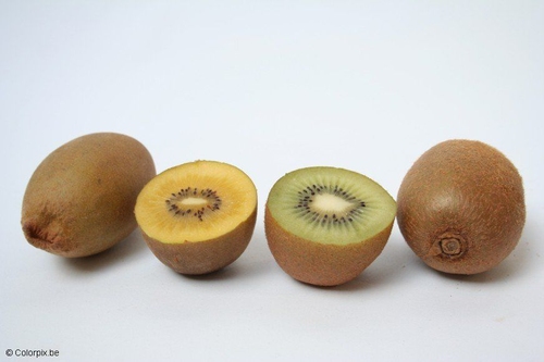 kiwi jaune et kiwi vert