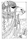 coloring pictures