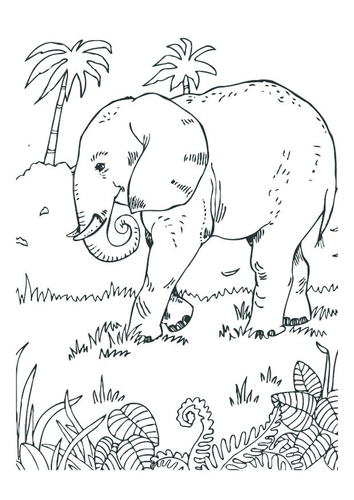 Coloriage l'éléphant