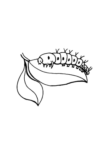 la chenille