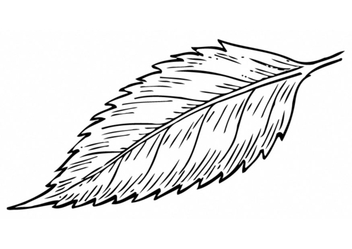 la feuille
