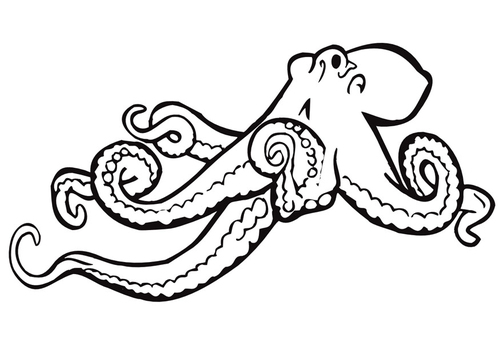 la seiche