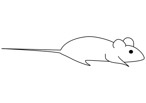 la souris