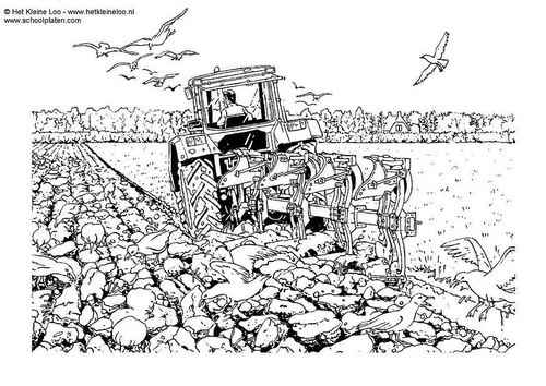 labourer 
