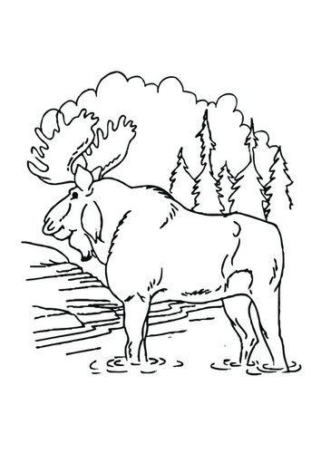l'éland