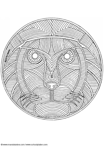lion