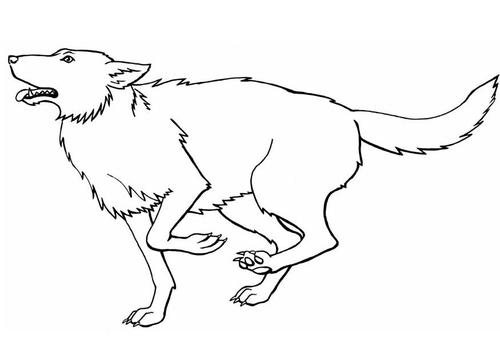 loup