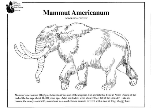 Coloriage mammouth américain
