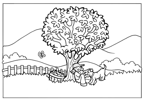 nature