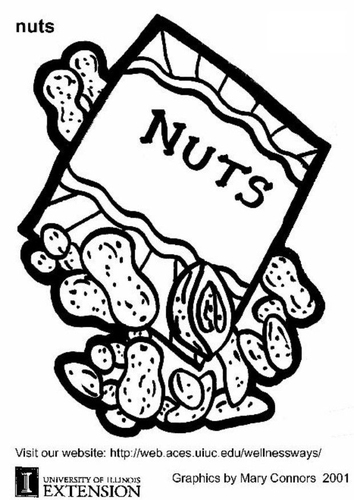 noisettes