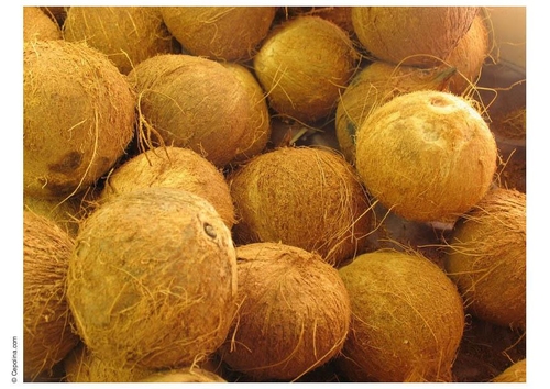 noix de coco