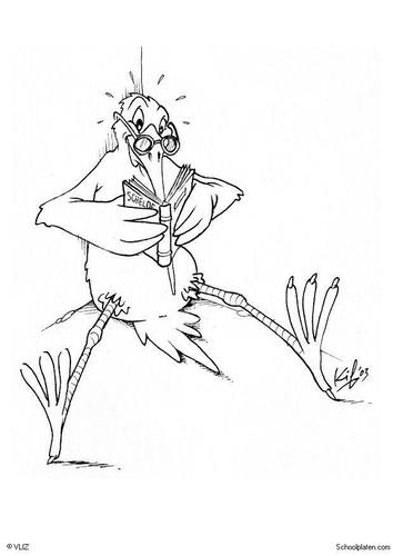 oiseau avec livre