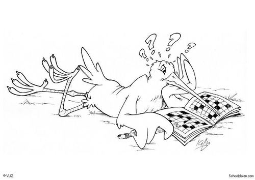 oiseau avec mots croisés