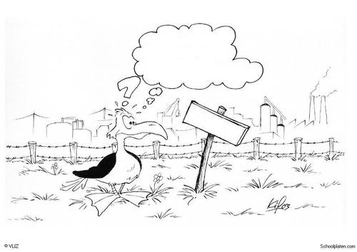 oiseau à l'usine
