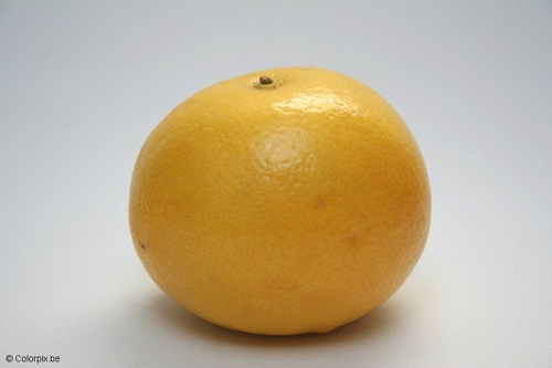 pamplemousse