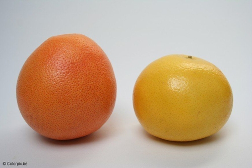 pamplemousses