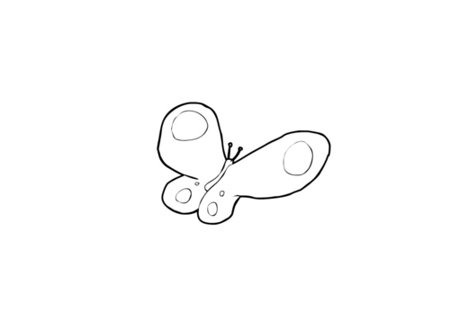 papillon