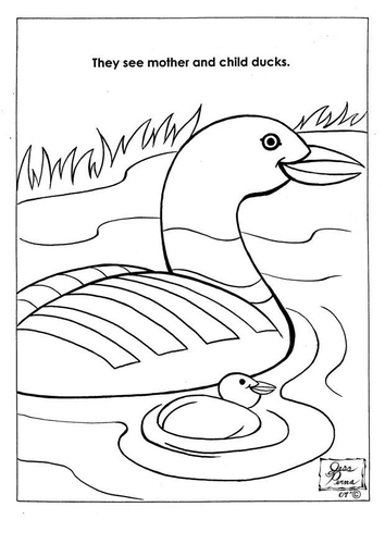 parc naturel des canards