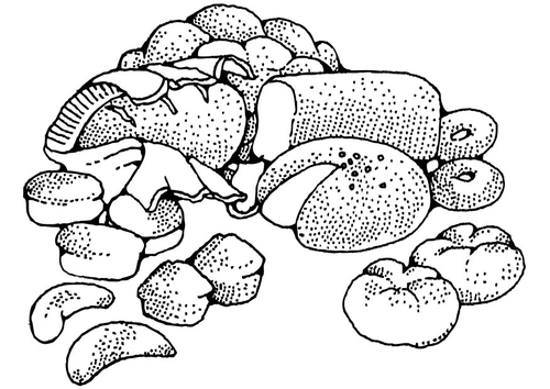 Coloriage pâtisserie