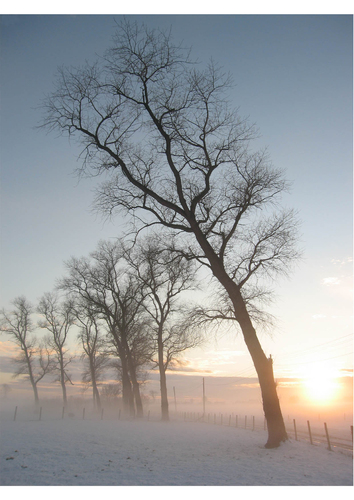 paysage enneigé