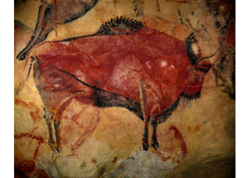 Photo peinture préhistorique - bison