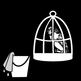 Coloriage perruche ondulée - nettoyer la cage