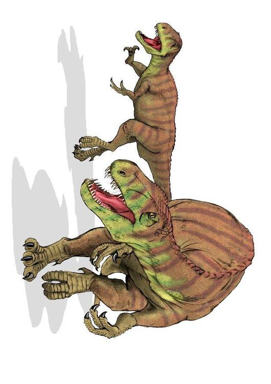 afrovenator abakensis