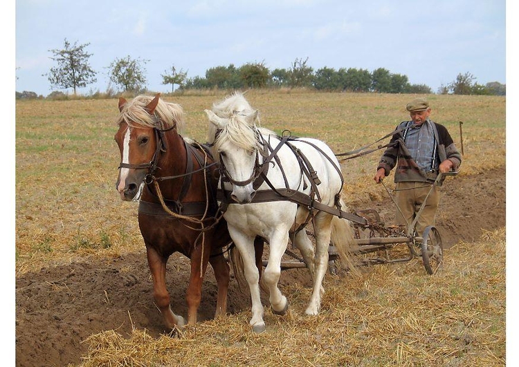 Photo agriculteur labourant un champ