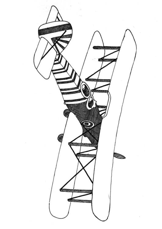 avion à aile double
