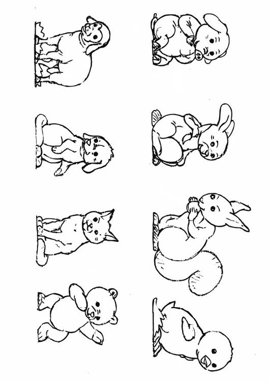 bébé animaux