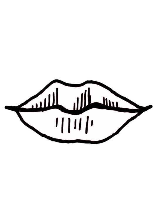 bouche / lèvres