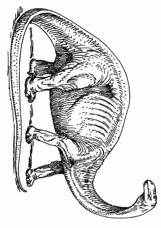 brontosaure