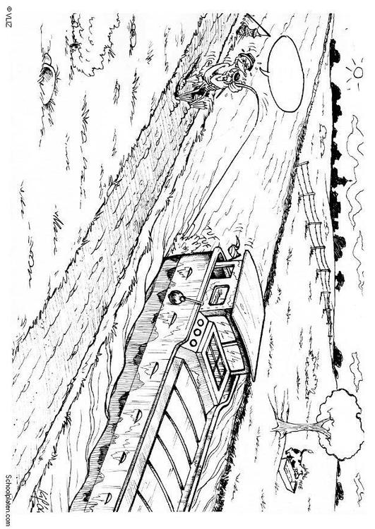 canard en train de pêcher