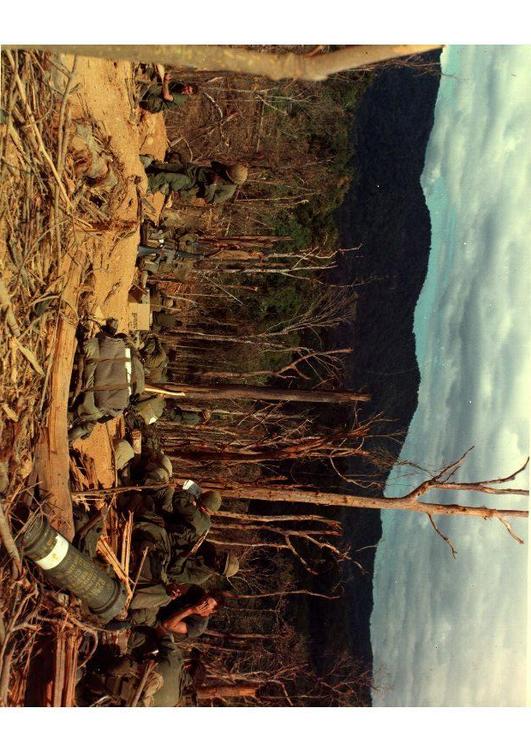 Champ de bataille de la guerre du Vietnam 530