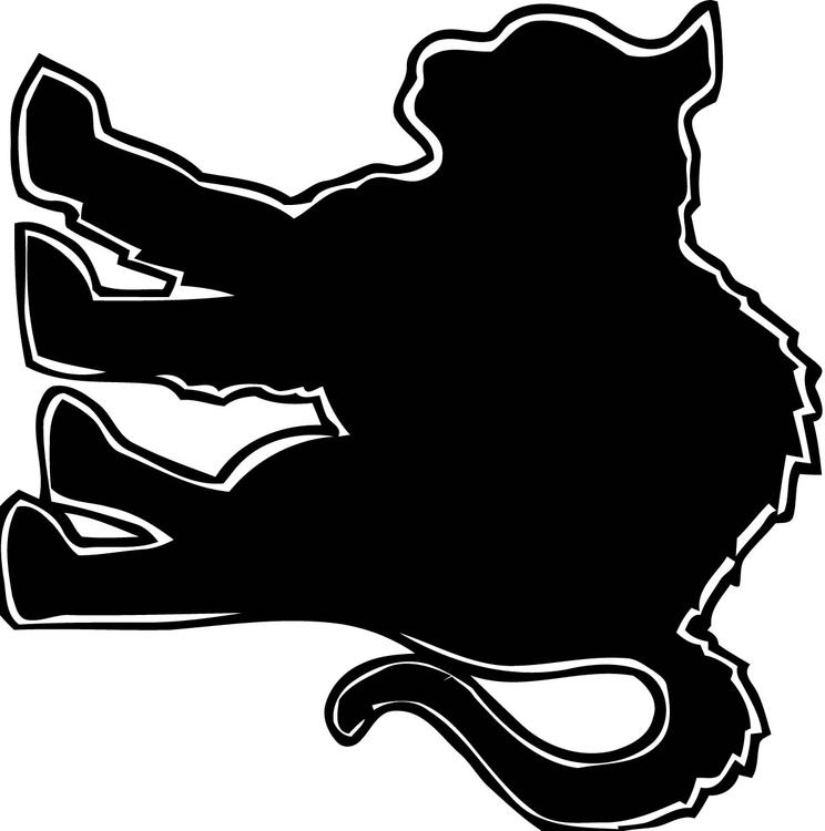 chat noir